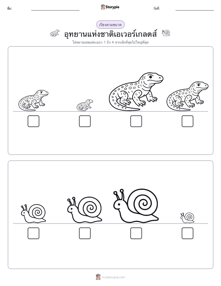 ลำดับขนาด
