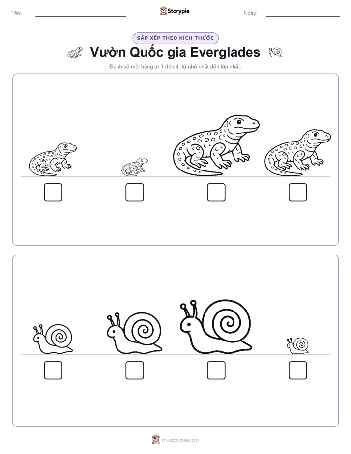 Thứ Tự Kích Thước
