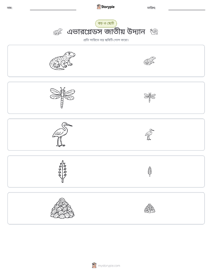 সাজানো