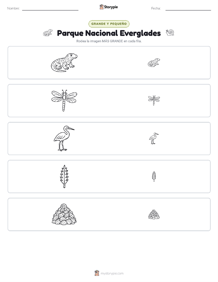 Clasificación