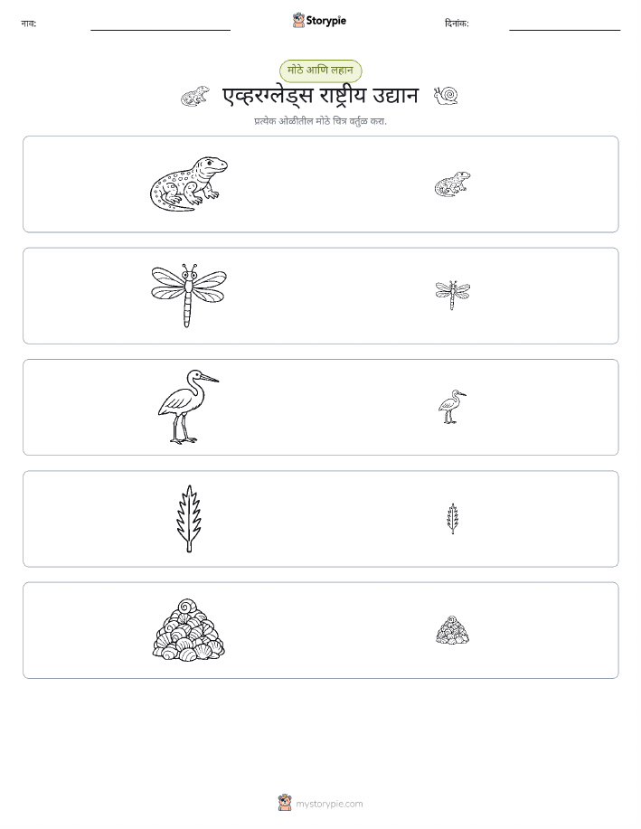 वर्गीकरण