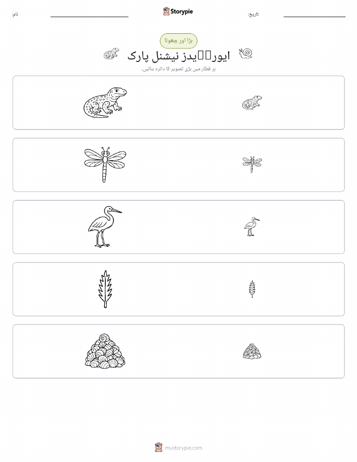ترتیب دینا