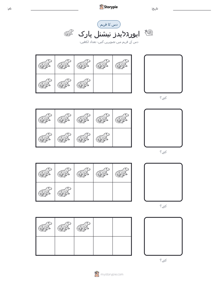 دس کا فریم
