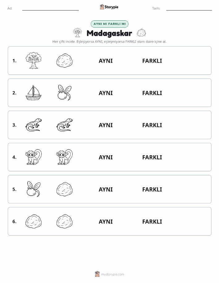 Aynı mı Farklı mı