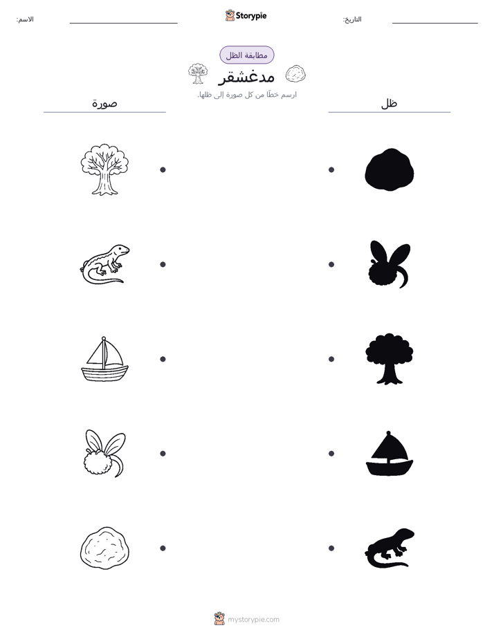 مطابقة الظل