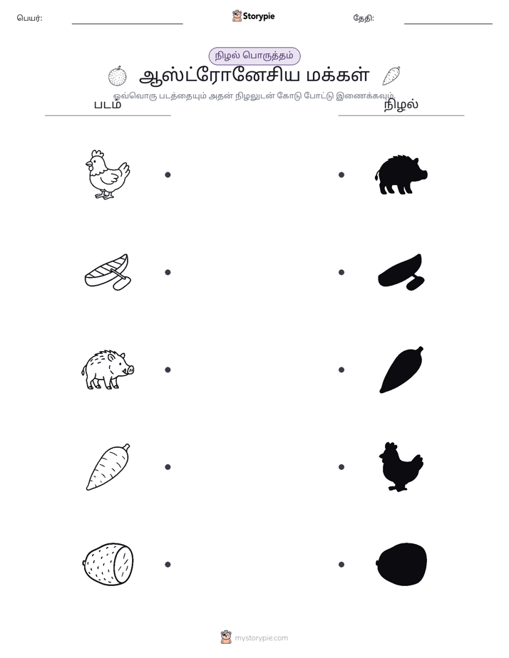 நிழல் பொருத்தம்