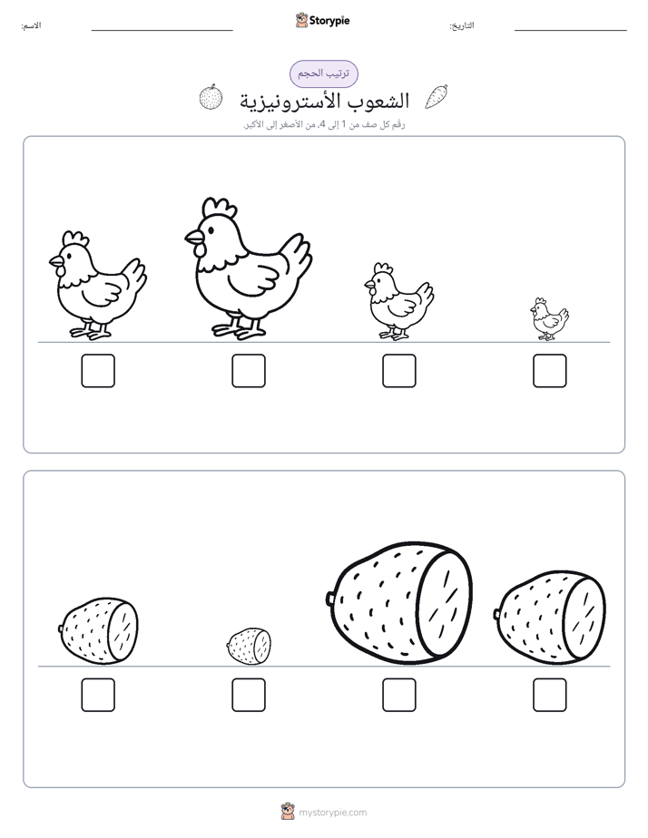 ترتيب الحجم