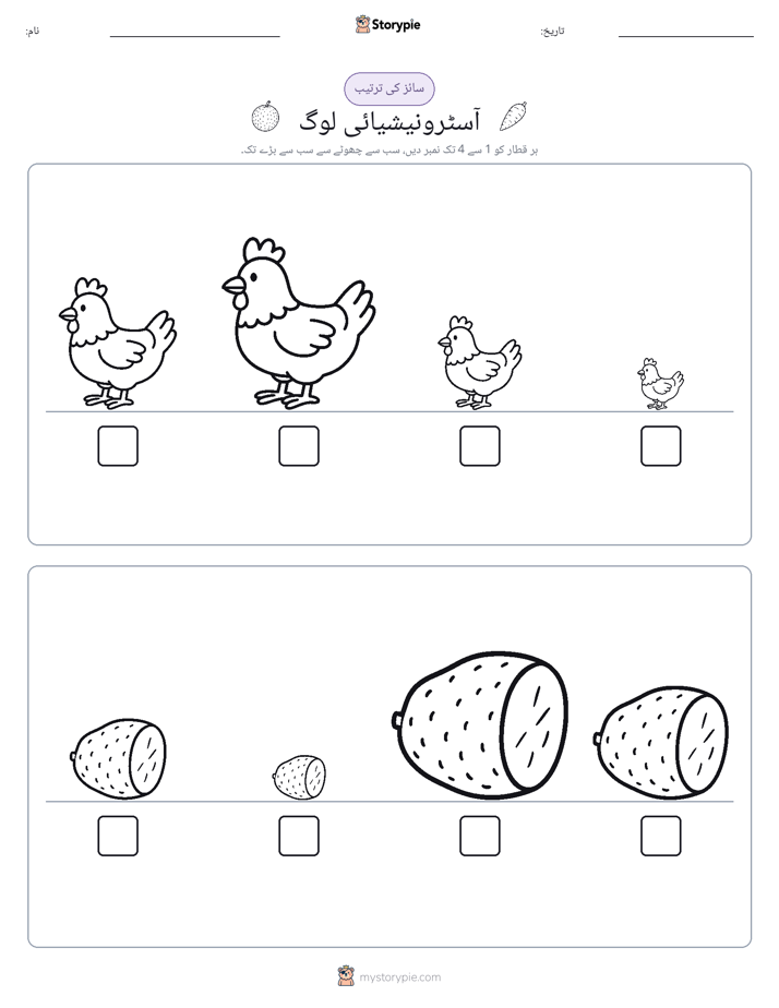 سائز کی ترتیب