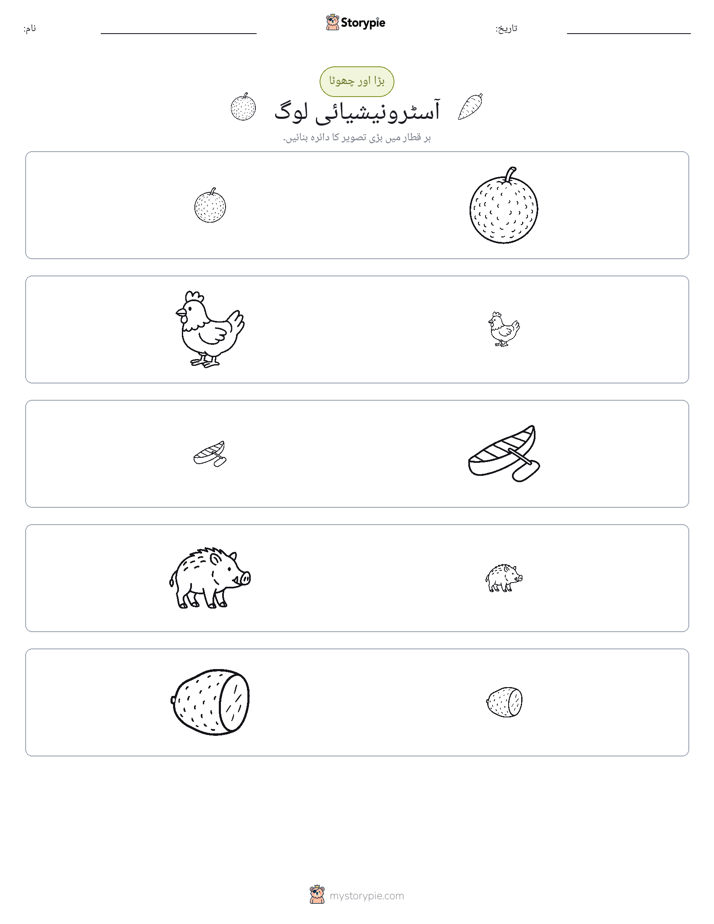 ترتیب دینا