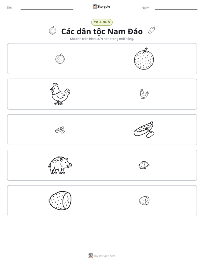 Phân Loại