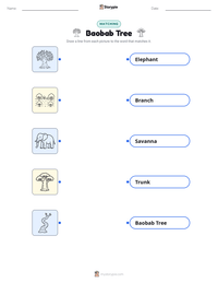 Baobab Tree printable worksheet preview