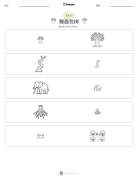 猴面包树 可打印工作表预览