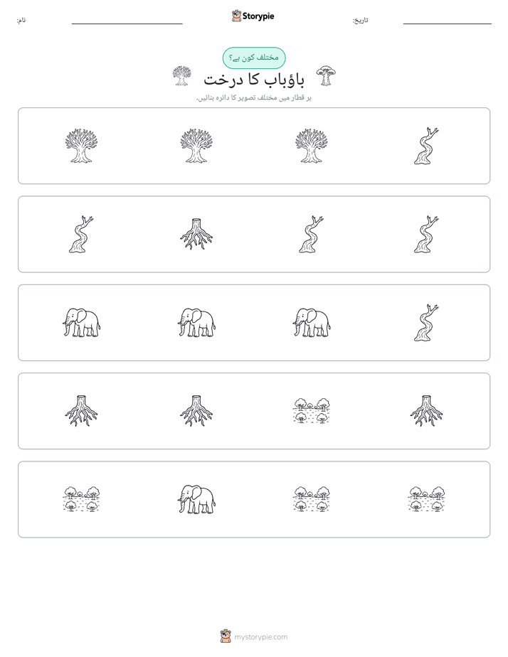 عجیب ایک