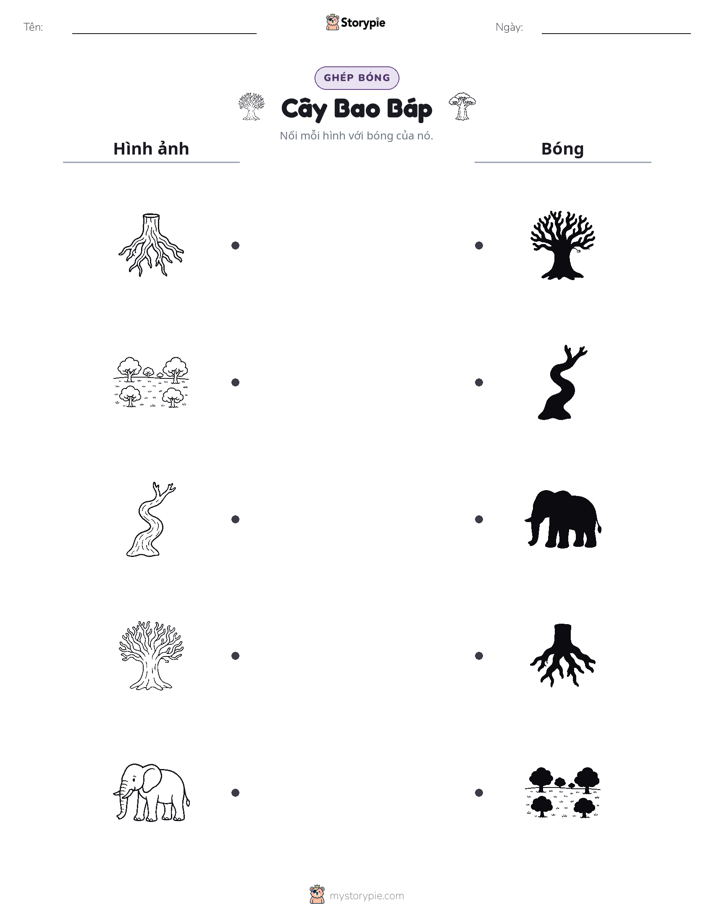 Ghép Hình Bóng