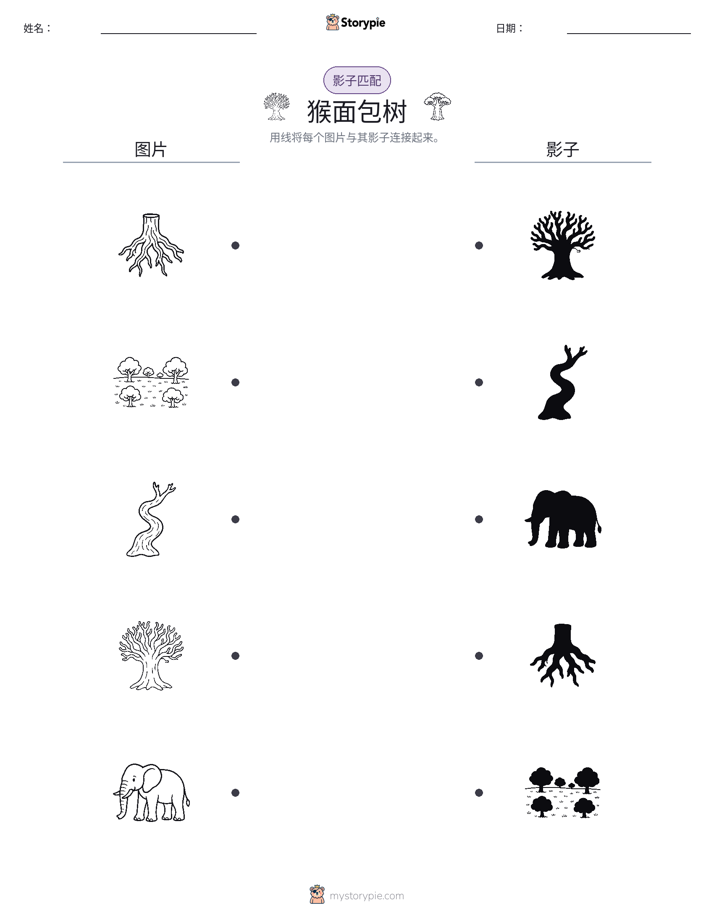 影子匹配