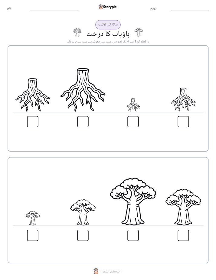 سائز کی ترتیب