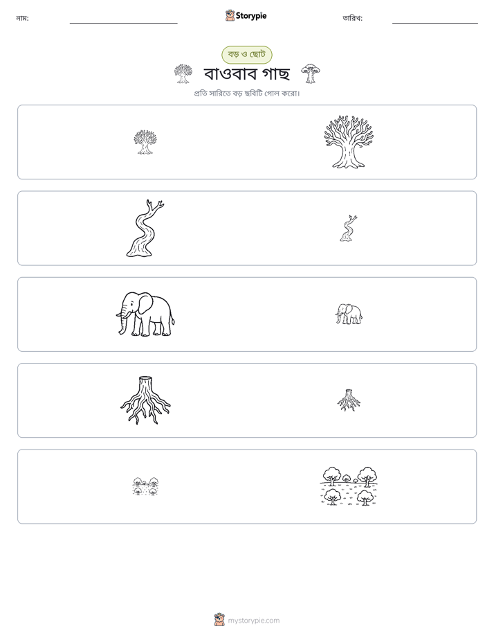 সাজানো