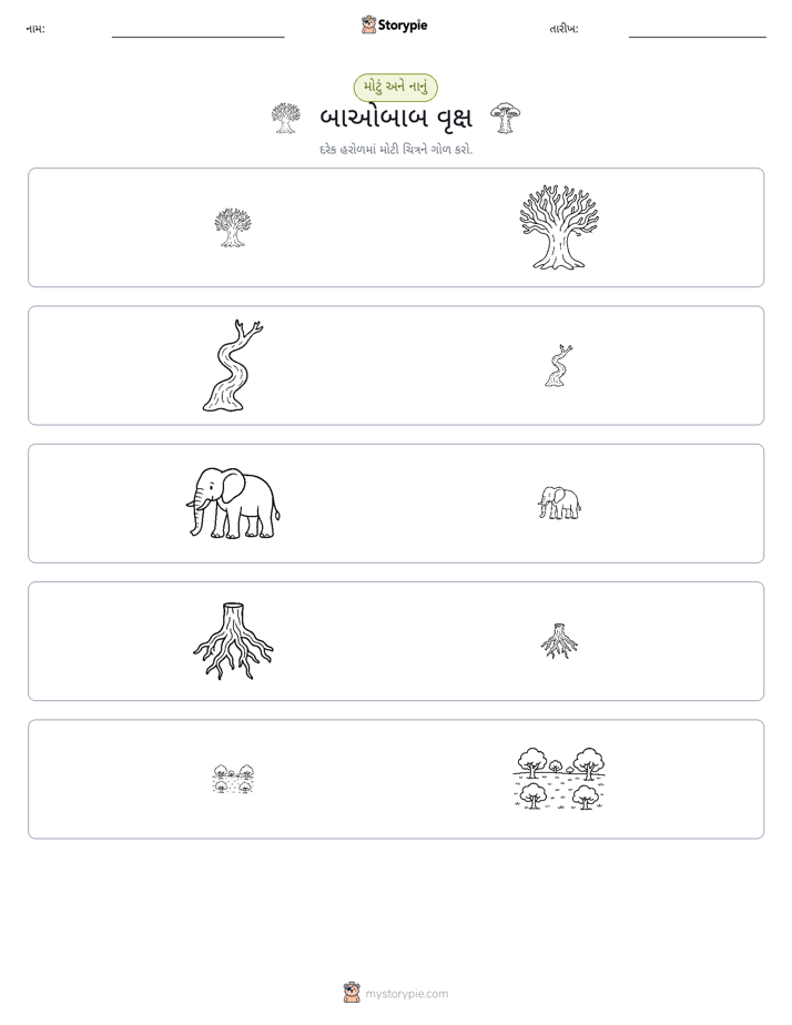 વર્ગીકરણ