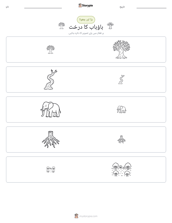 ترتیب دینا