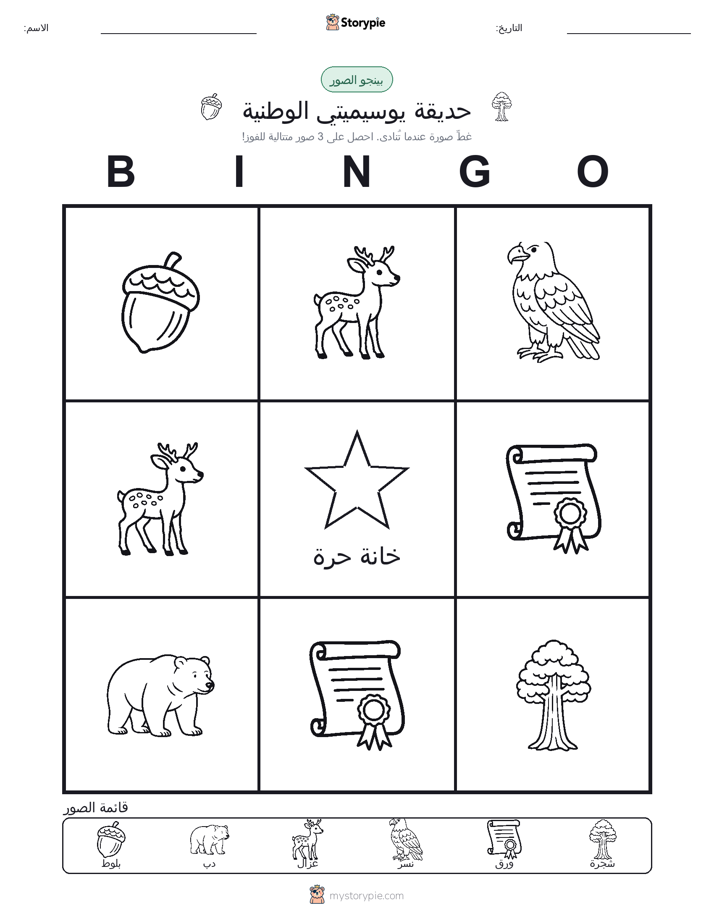 بينغو الصور