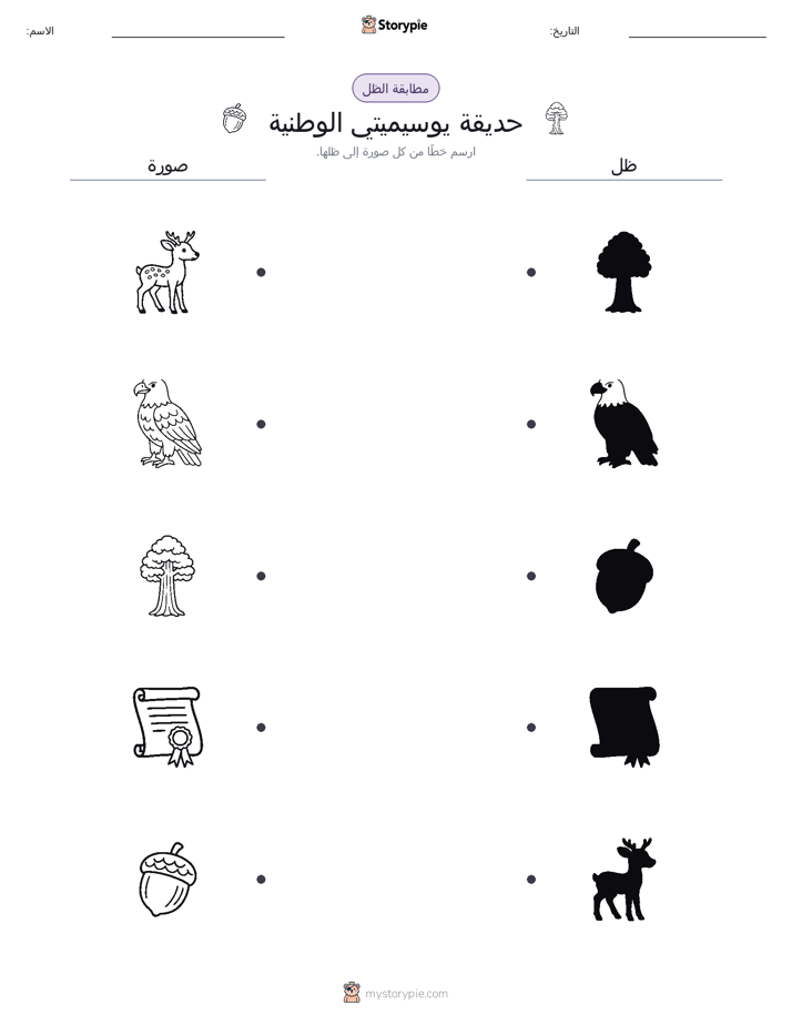 مطابقة الظل