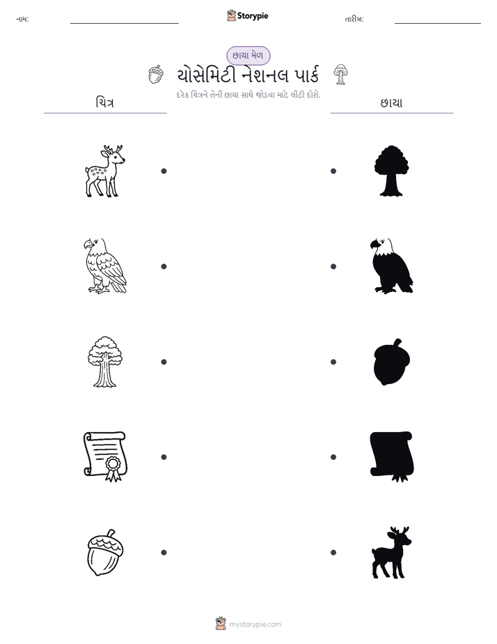 શેડો મેચ