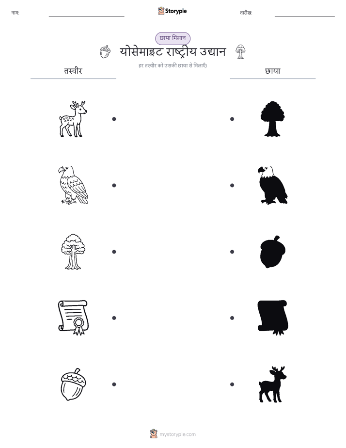 छाया मिलान