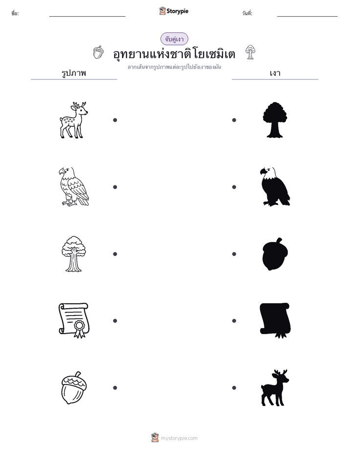 จับคู่เงา