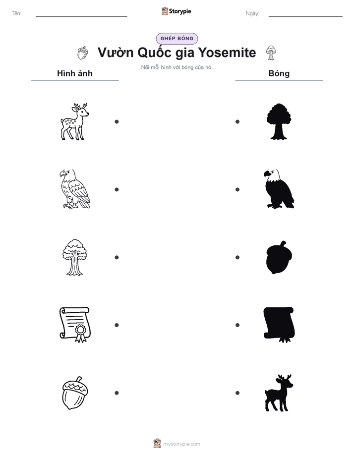 Ghép Hình Bóng