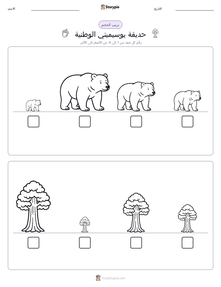 ترتيب الحجم