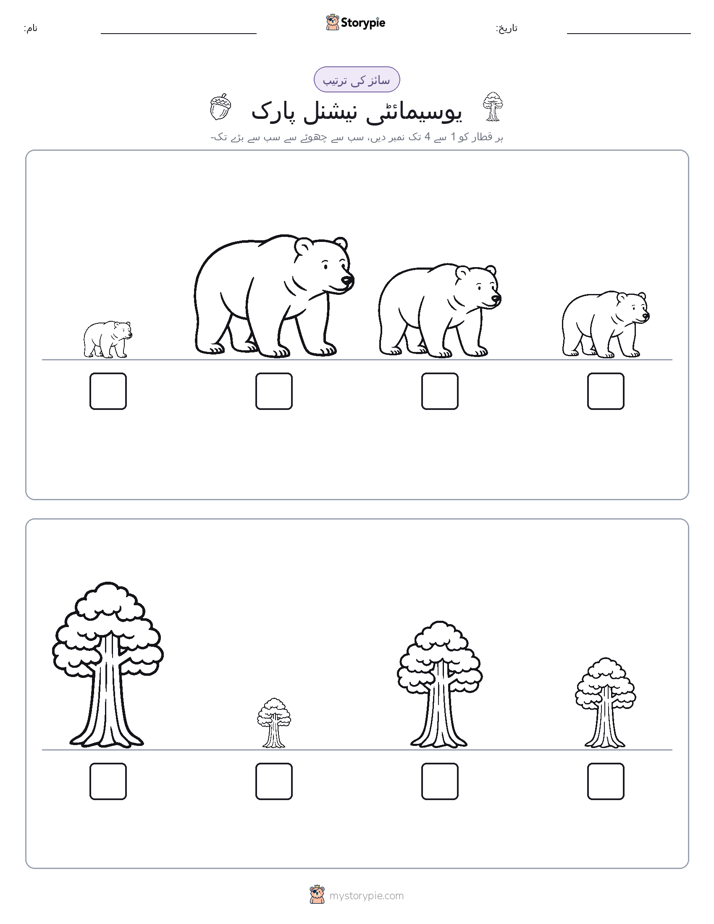 سائز کی ترتیب