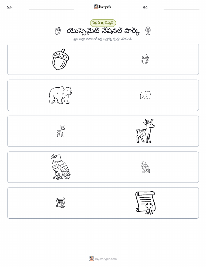 వర్గీకరణ