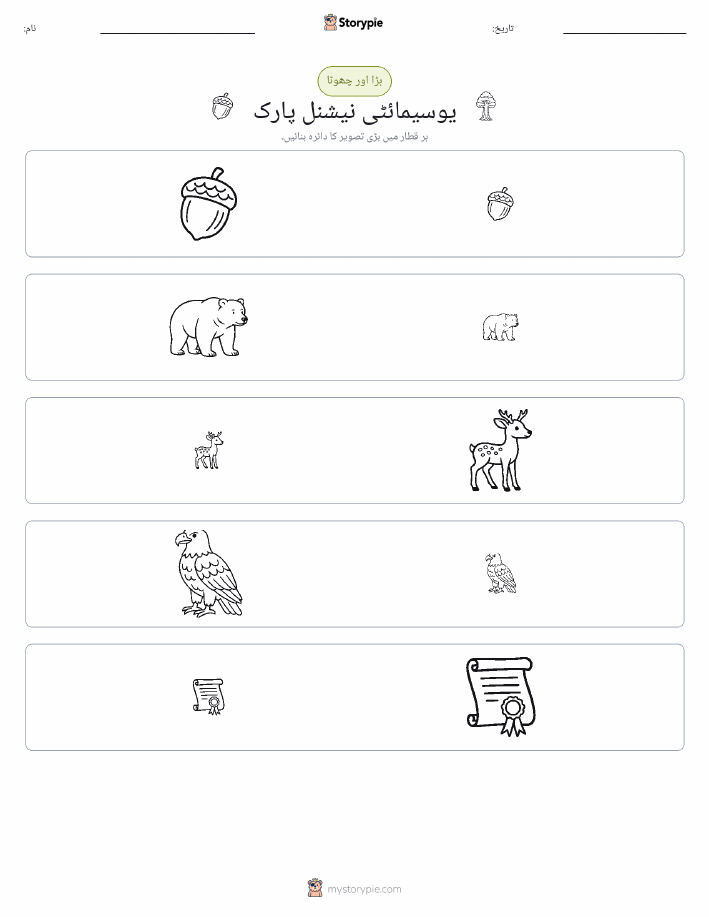 ترتیب دینا