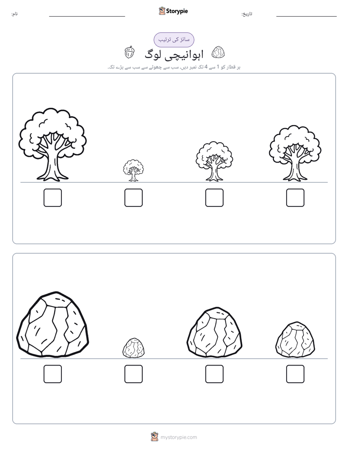 سائز کی ترتیب