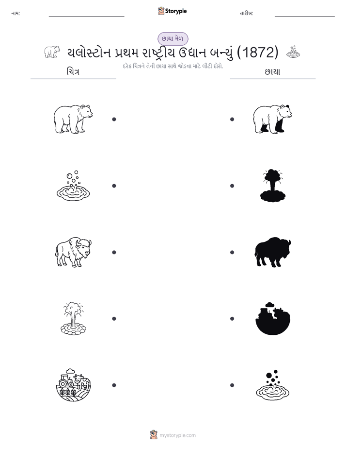શેડો મેચ