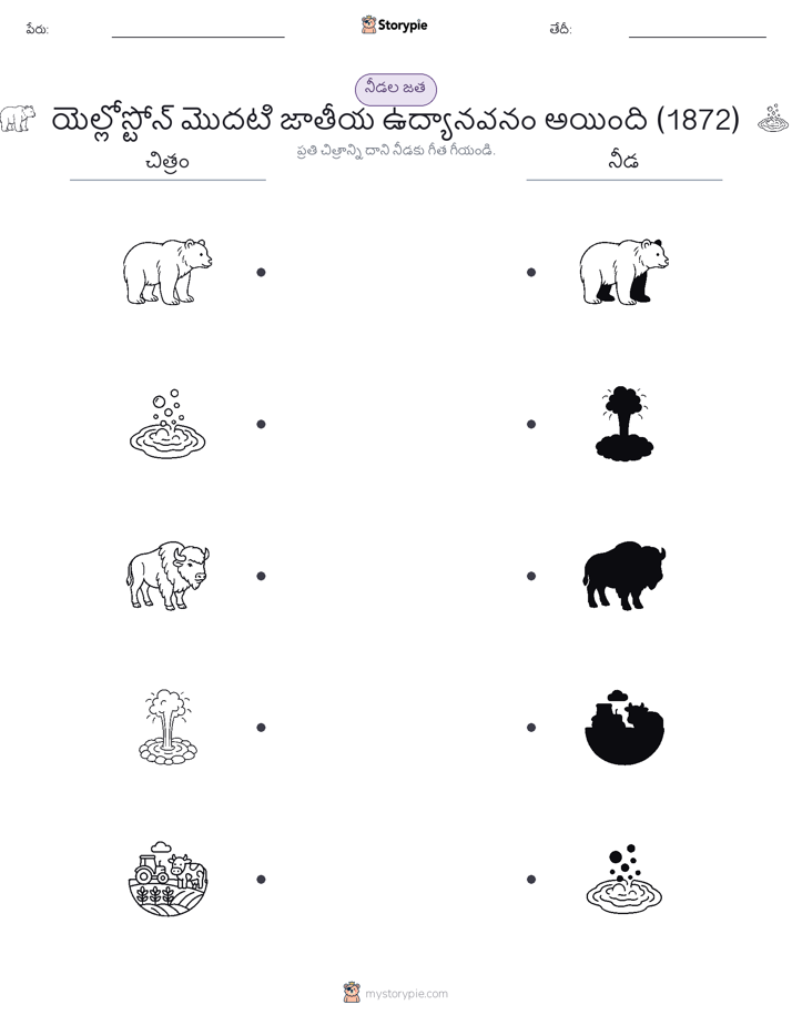 షాడో మ్యాచ్
