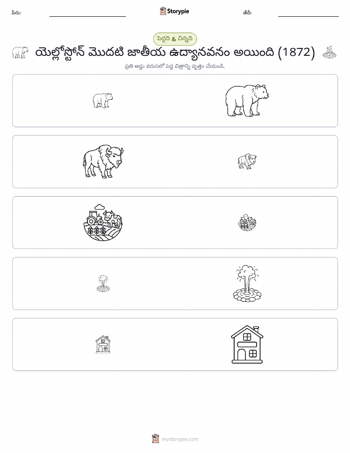 వర్గీకరణ