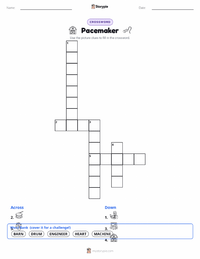 Pacemaker printable worksheet preview