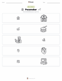 Pacemaker printable worksheet preview