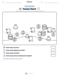 Human Heart printable worksheet preview