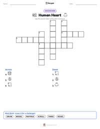 Human Heart printable worksheet preview