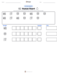 Human Heart printable worksheet preview