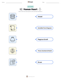Human Heart printable worksheet for kids
