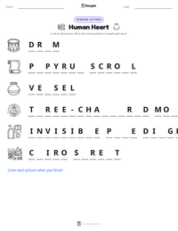 Human Heart printable worksheet preview