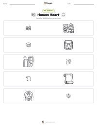 Human Heart printable worksheet preview