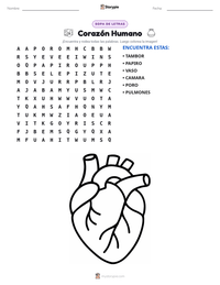 Vista previa de la hoja de trabajo imprimible de Corazón Humano