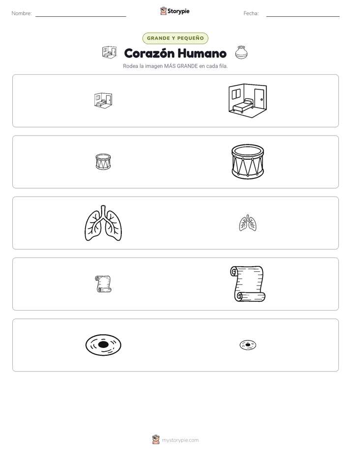Clasificación