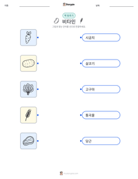 비타민 인쇄 가능한 워크시트 미리보기