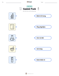 Xem trước tài liệu in sẵn Casimir Funk