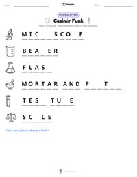 Casimir Funk printable worksheet preview